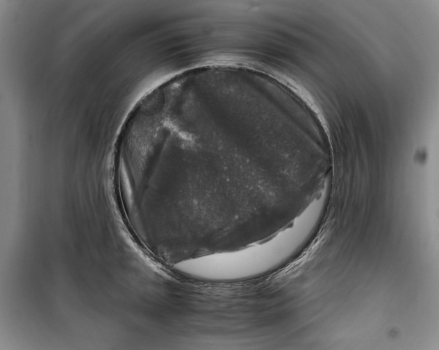 X0000099991045200806131430