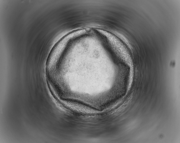 X0000099991047200806131430