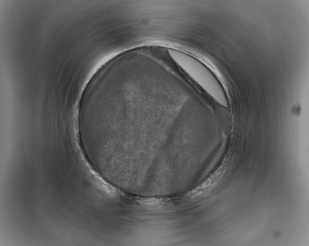 X0000099991048200806131430