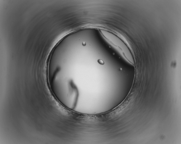 X0000099991050200806131430