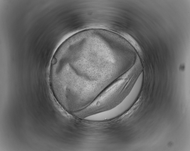 X0000099991052200806131430