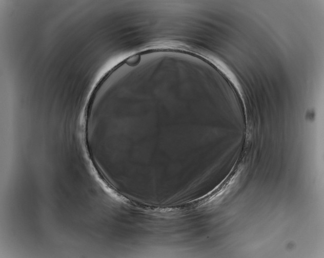 X0000099991053200806131430