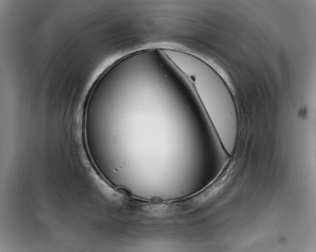 X0000099991054200806131430