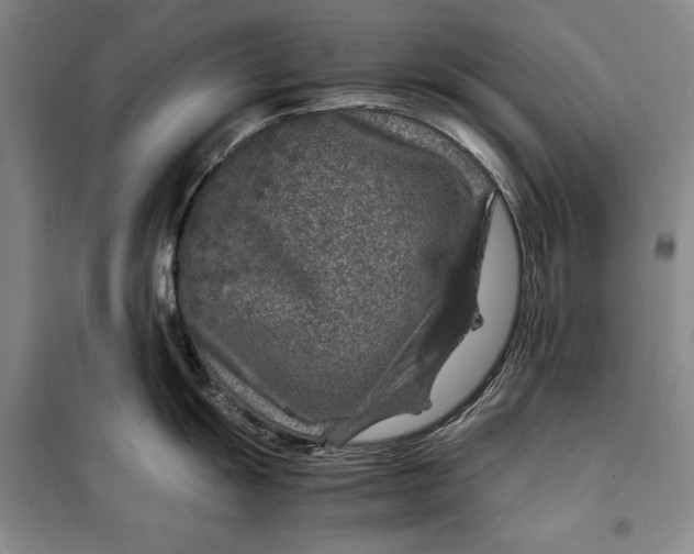 X0000099991055200806131430