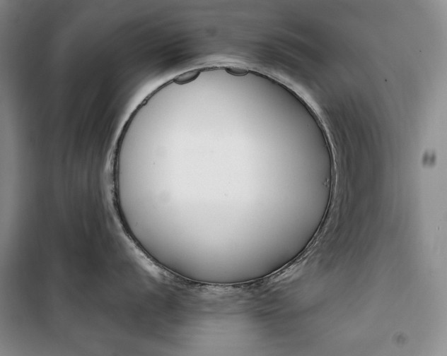 X0000099991056200806131430