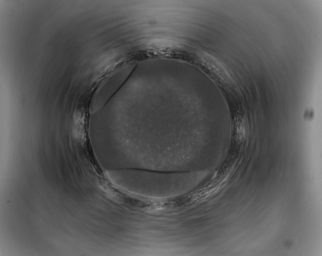 X0000099991060200806131429