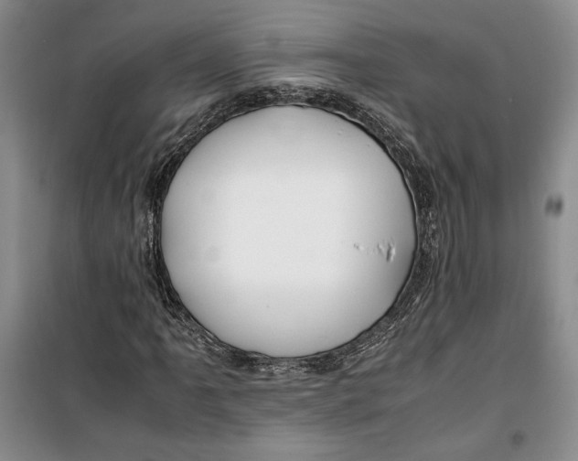 X0000099991061200806131429