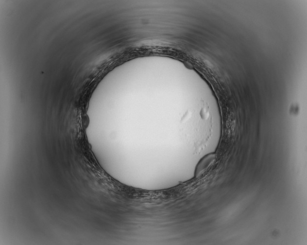 X0000099991062200806131429