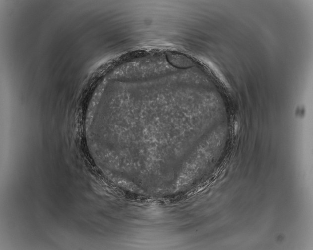 X0000099991063200806131429