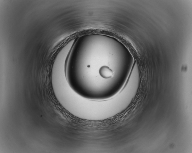 X0000099991064200806131429