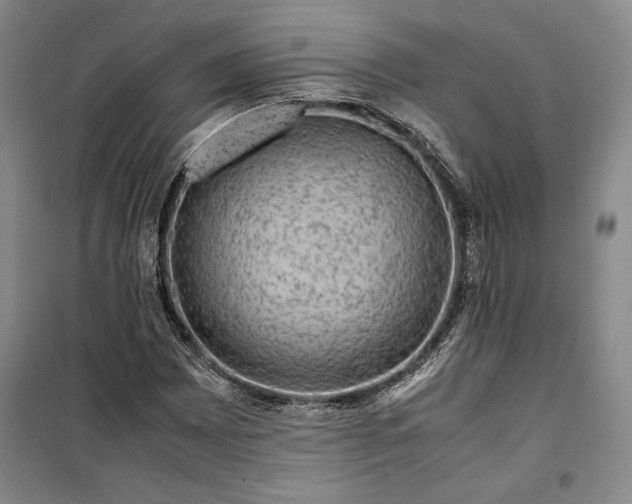 X0000099991065200806131429