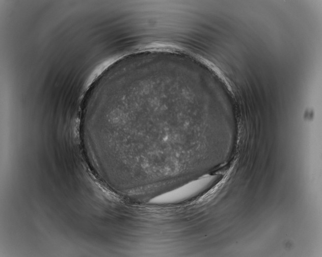 X0000099991066200806131429