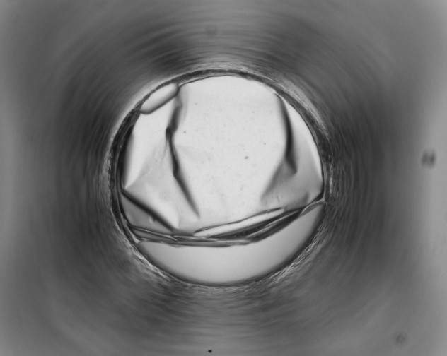 X0000099991068200806131429