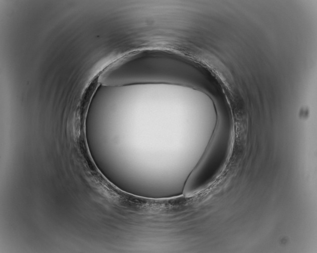 X0000099991069200806131429