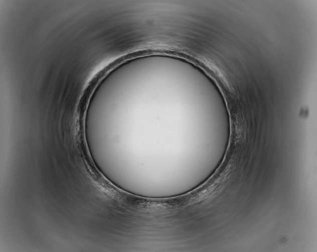 X0000099991070200806131429