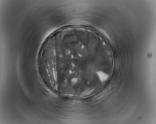 X0000099991071200806131429