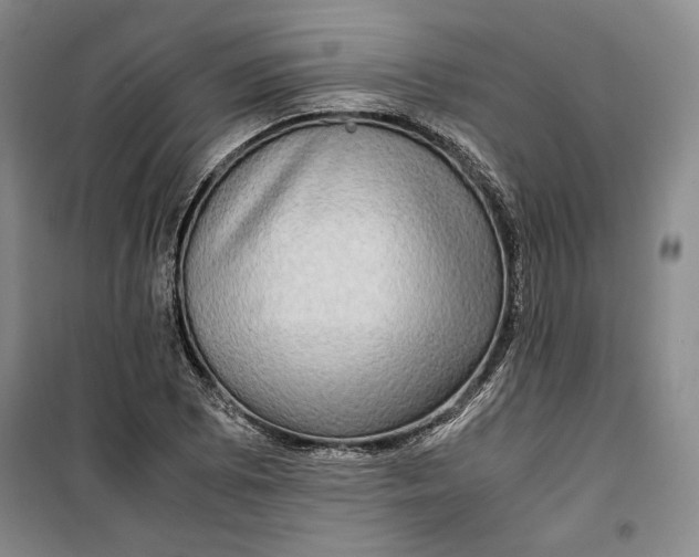 X0000099991073200806131429