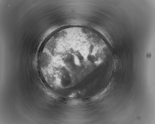 X0000099991074200806131429