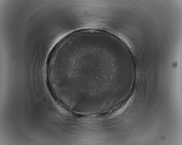 X0000099991077200806131429