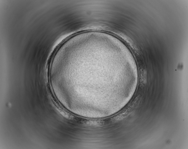 X0000099991078200806131429