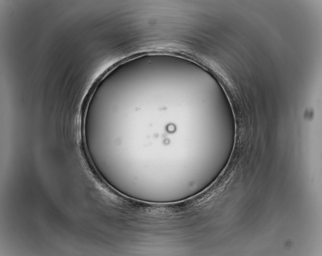 X0000099991079200806131429