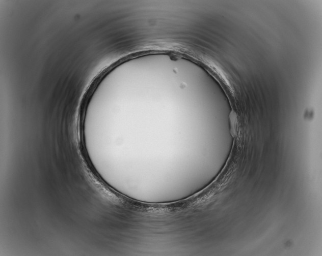 X0000099991080200806131429