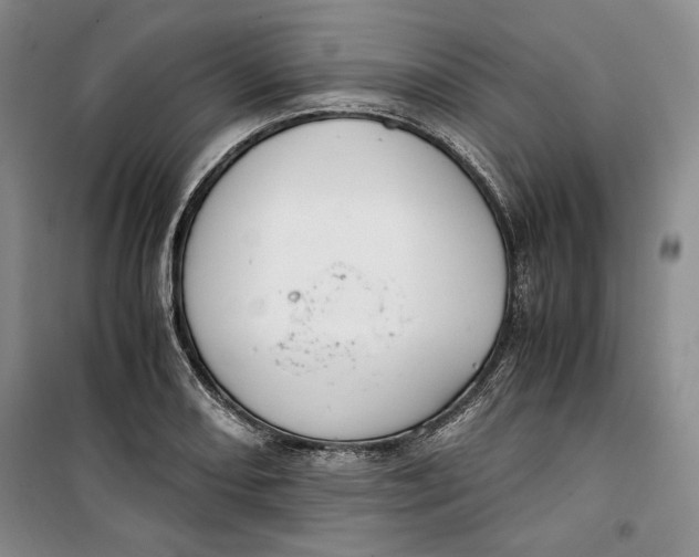 X0000099991082200806131429