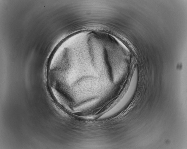 X0000099991083200806131429