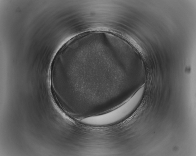 X0000099991084200806131429