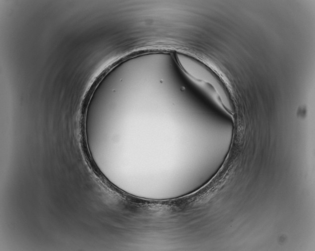 X0000099991085200806131429