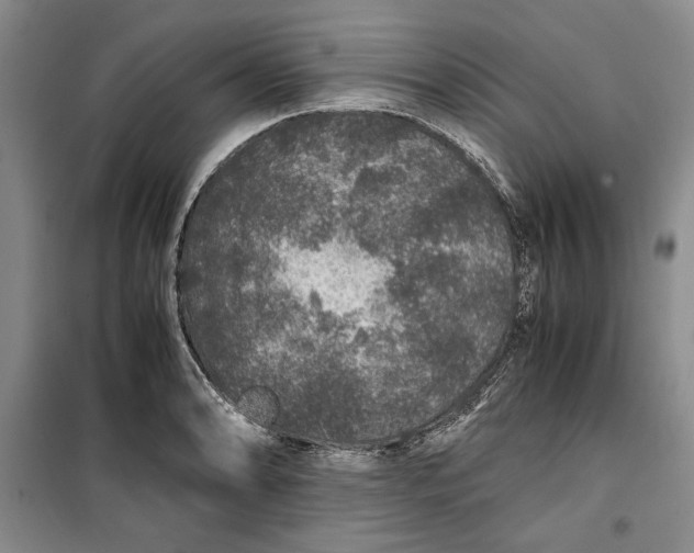 X0000099991086200806131429