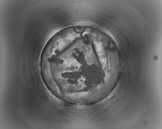 X0000099991087200806131429