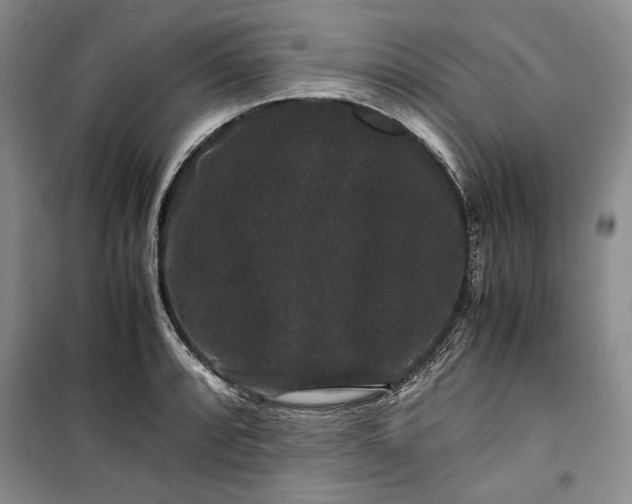 X0000099991088200806131429