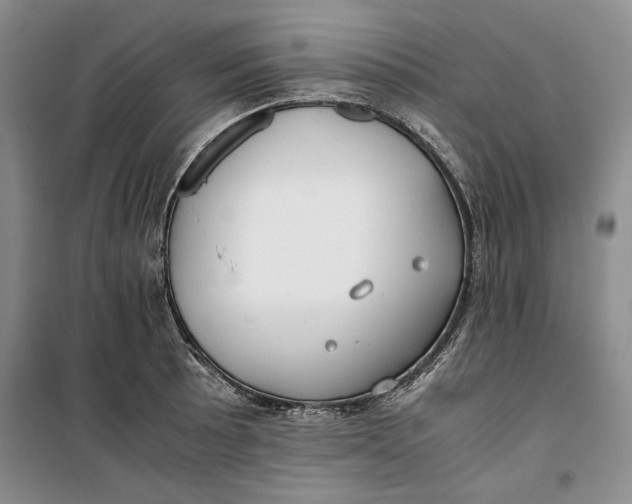 X0000099991089200806131429