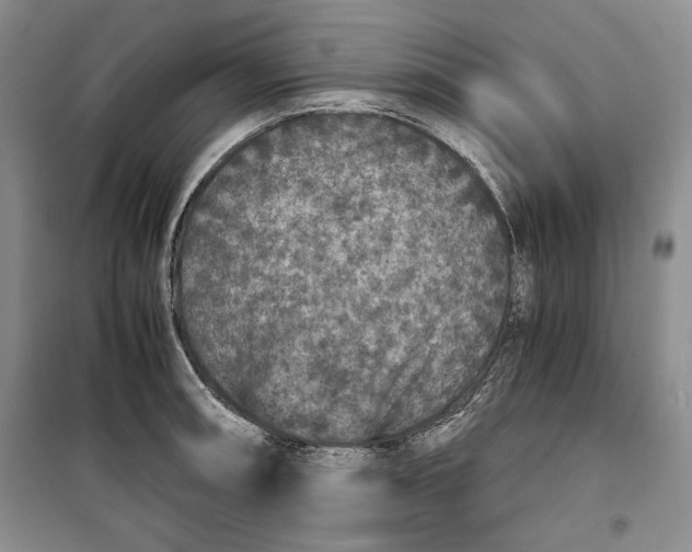 X0000099991090200806131429