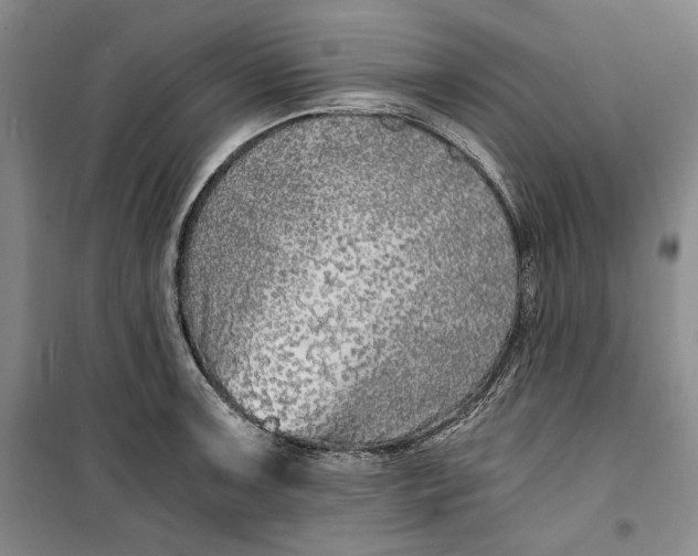 X0000099991091200806131429