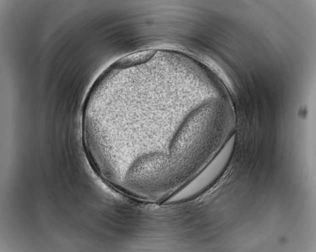 X0000099991092200806131429