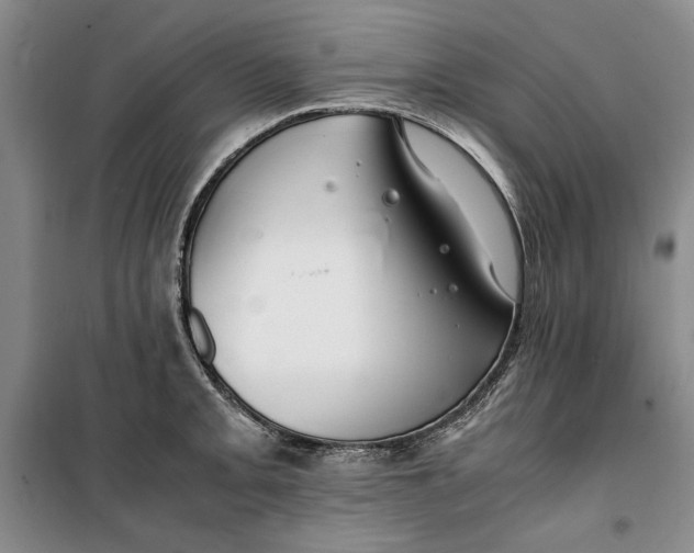 X0000099991093200806131429