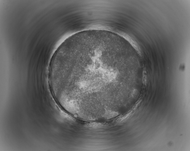 X0000099991094200806131429