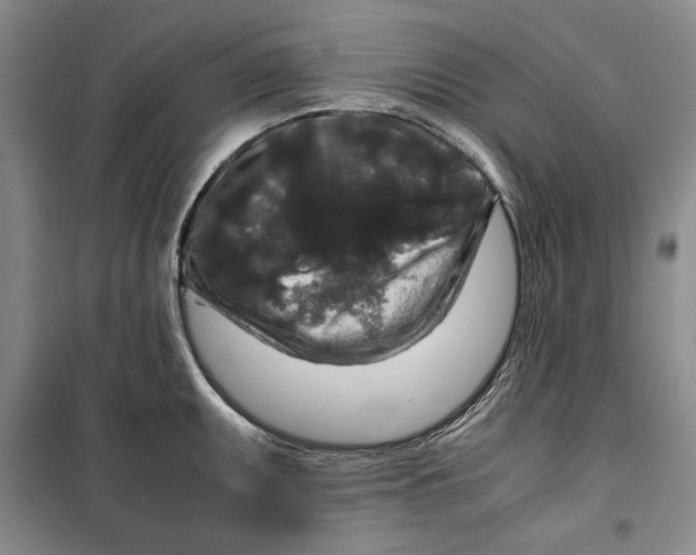 X0000099991095200806131429