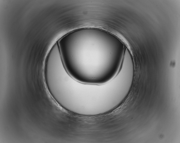 X0000099991096200806131429