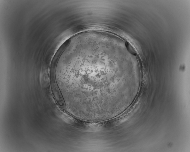 X0000099991097200806131429