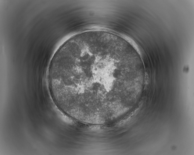 X0000099991098200806131429