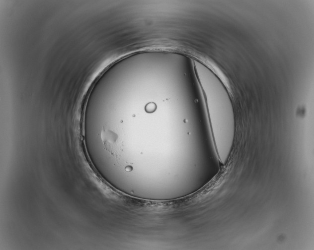 X0000099991099200806131429