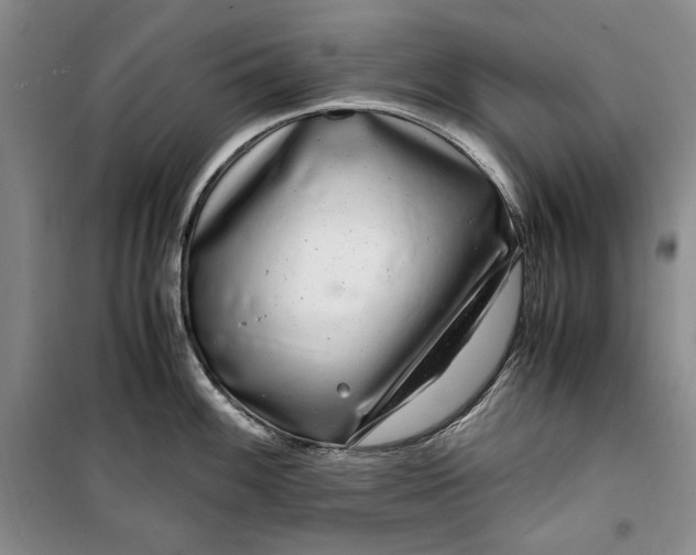 X0000099991100200806131429