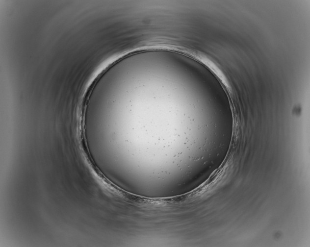 X0000099991101200806131429