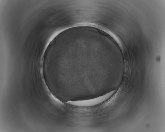 X0000099991102200806131429