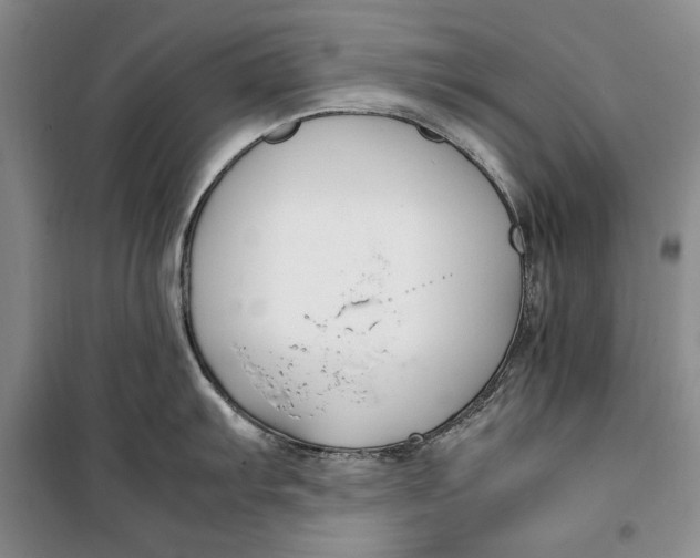 X0000099991103200806131429