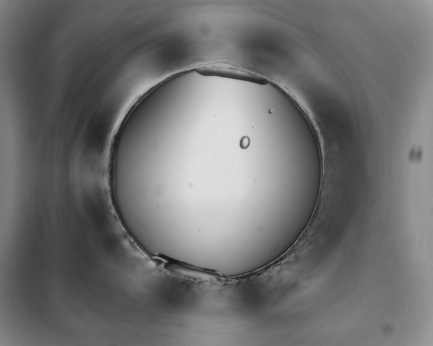 X0000099991104200806131429