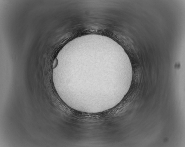 X0000099991105200806131428